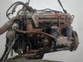 98424748 Генератор Iveco EuroCargo 1999г. - фото №2