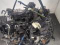 CN1Q6006CA Двигатель (ДВС) Ford EcoSport 2015г. - фото №5