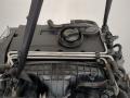 03G100035K, 03G100104X Двигатель (ДВС) Volkswagen Jetta 5 2007г. - фото №5