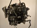 LR178216, R4P36006MA, AJ814279 Двигатель (ДВС) Land Rover Range Rover Evoque 2023г. - фото №2