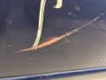 6980153010, 8572053010 Стеклоподъемник электрический правый передний Lexus IS 2002г. - фото №2