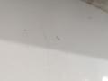 51337197302, 67627267692 Стеклоподъемник электрический правый передний BMW X6 2013г. - фото №3