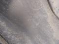 FB5Z7810176AA Накладка на порог правая передняя Ford Explorer 2017г. - фото №4