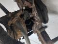 6N0407613, 6N0407255B, 6N0615311A Ступица (кулак, цапфа) левая передняя Volkswagen Polo 2001г. - фото №5