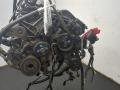1L2Z19703EA Компрессор кондиционера Ford Explorer 2005г. - фото №2