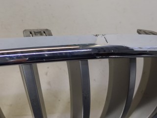 Решетка радиатора, ориг. номер 51117237421, 7237421, BMW X3 2010-2014