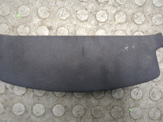 Пластик (обшивка) салона Ford Focus 2007-2011