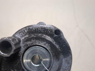 Натяжитель приводного ремня, ориг. номер 25192084, Chevrolet Captiva 2006-2011