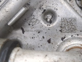 Теплообменник, ориг. номер 25610-F2000, Hyundai Elantra 2018-2020