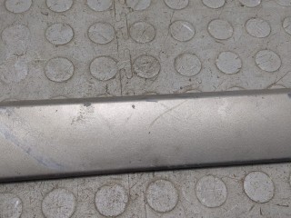 Молдинг двери левое переднее, ориг. номер 8200073469, Renault Megane 2002-2006