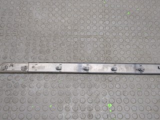 Молдинг двери левое переднее, ориг. номер 8200073469, Renault Megane 2002-2006