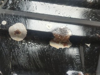Поддон, ориг. номер 215102F000, 215202F010, Hyundai Santa Fe 2004-2012