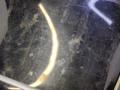 A2138100815 Консоль салона (кулисная часть) Mercedes E W213 2016г. - фото №4