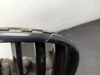 Решетка радиатора, ориг. номер 51317185224, 7185224, BMW X6 2007-2012