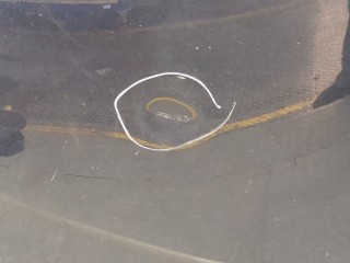 Обшивка капота, ориг. номер 7979L6, Peugeot 508 2010-2014