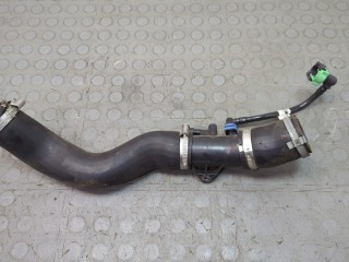 Патрубок интеркулера, ориг. номер GN1Z6F073C, Ford EcoSport 2017-2023