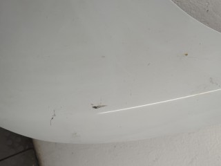 Капот, ориг. номер 1774791, Ford Fiesta 2008-2013