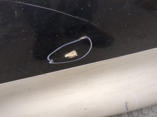Капот, ориг. номер 41612754738, 2754738, Mini Cooper 2006-2010
