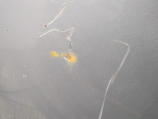 Капот, ориг. номер 5M0823031F, Volkswagen Golf Plus 2009-2014