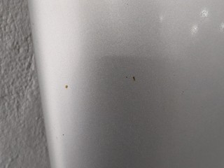 Капот, ориг. номер 1098820, PYS6116612AA, Ford Fiesta 1999-2002