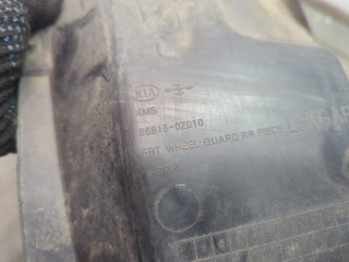 Защита арок (подкрылок) левая передняя, KIA Sportage 2008-2010