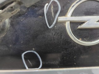 Подсветка номера, ориг. номер 90213642, 1224143, Opel Zafira 2003-2006