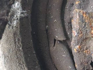 Суппорт правый задний, ориг. номер 4783005030, Toyota Avensis 3 2008-2011