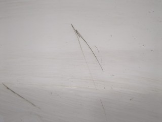 Дверь боковая (легковая) правая передняя, ориг. номер 5K4831056H, Volkswagen Golf 6 2008-2012