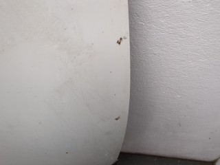 Обшивка капота, ориг. номер 811252B500, Hyundai Santa Fe 2004-2012