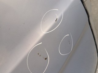 Капот, ориг. номер 1Z0823031B, Skoda Octavia 2000-2011