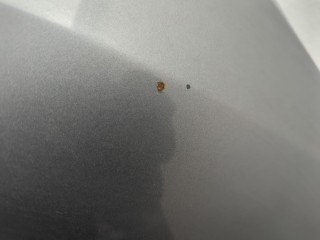 Капот, ориг. номер 41002993151, 2993151, BMW X1 2009-2012