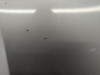 Обшивка капота, ориг. номер 658401LA0A, Infiniti QX80 2013-2014
