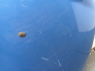 Капот, ориг. номер 1774791, P9A61A16610AH, Ford Fiesta 2008-2013