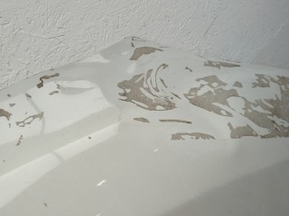 Капот, ориг. номер 41617228974, 7228974, BMW 6 F12, F13, F06 2011-2015