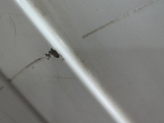 Фонарь салона (плафон), ориг. номер 636500E120B0, Toyota Highlander 3 2013-2016