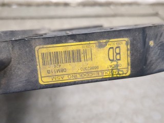 Вентилятор радиатора, ориг. номер 95950489, Chevrolet Aveo (T250 / 255) 2006-2012