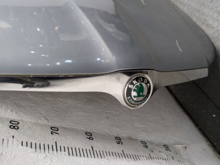 Капот, ориг. номер 3T0823031, Skoda Superb 2008-2013