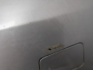 Бампер передний, ориг. номер 71102SMGE00, 71101SMGE00ZA, Honda Civic 2005-2008