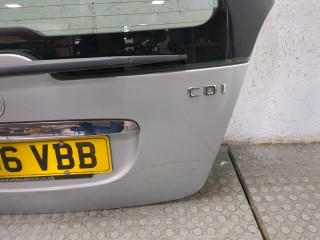 Подсветка номера, ориг. номер A1697402493, A1698200156, Mercedes A-Класс 2004-2008