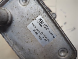Корпус масляного фильтра, ориг. номер 264102F000, 263102F010, Hyundai Santa Fe 2004-2012