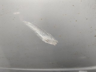 Капот, ориг. номер 1M0823033D, Seat Leon 1999-2005