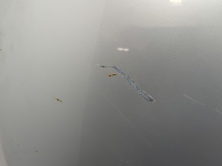 Обшивка капота, ориг. номер A2046820626, Mercedes C W204 2007-2011