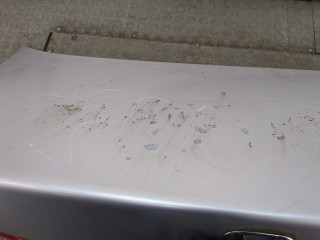 Крышка (дверь) багажника, ориг. номер 68500SEAE00ZZ, Honda Accord 2005-2008