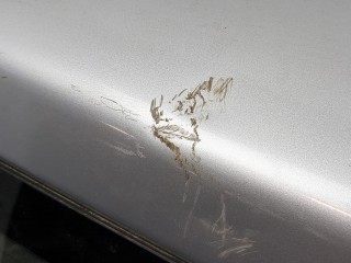 Крышка (дверь) багажника, Subaru Forester (S11) 2002-2005