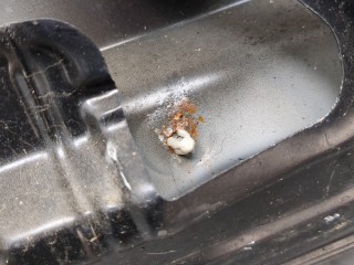 Подсветка номера, BMW X3 E83 2003-2006