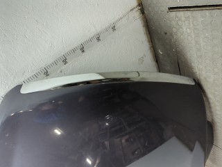 Обшивка капота, Ford Focus 2007-2011
