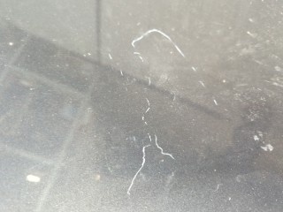 Обшивка капота, Ford Kuga 2012-2016