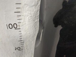 Капот, ориг. номер 5N0823031D, Volkswagen Tiguan 2011-2019