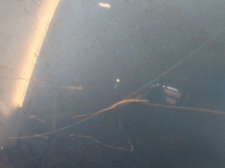 Капот, ориг. номер 1521601, P8M51A16610AE, Ford Focus 2007-2011