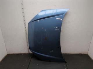 Капот, ориг. номер 1430131, PXS41A16610CB, Ford Focus 2001-2005